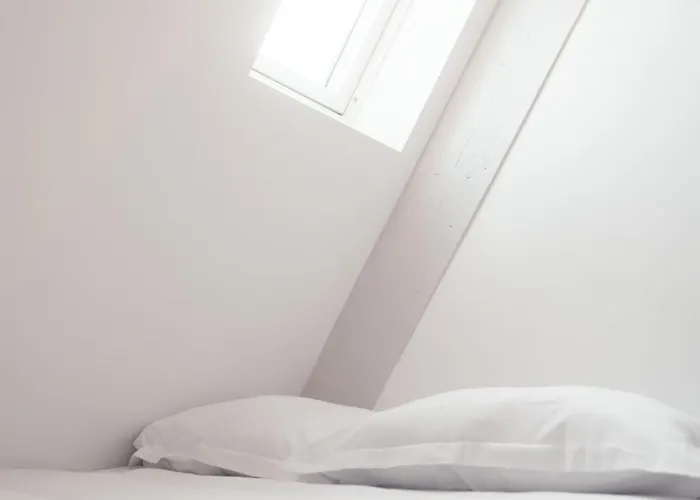 Cube Du Serpent Royal - Charmante Mezzanine